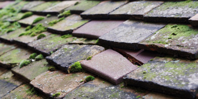Rhiwderin roof repair costs